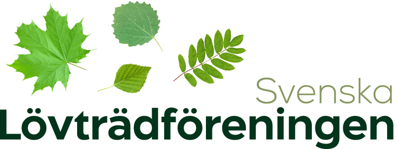 logotyp